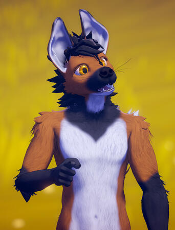 Maned Wolf (Yena) Maned Wolf (Yena)